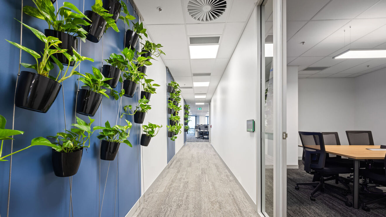 Whitehaven Coal Office Fitout